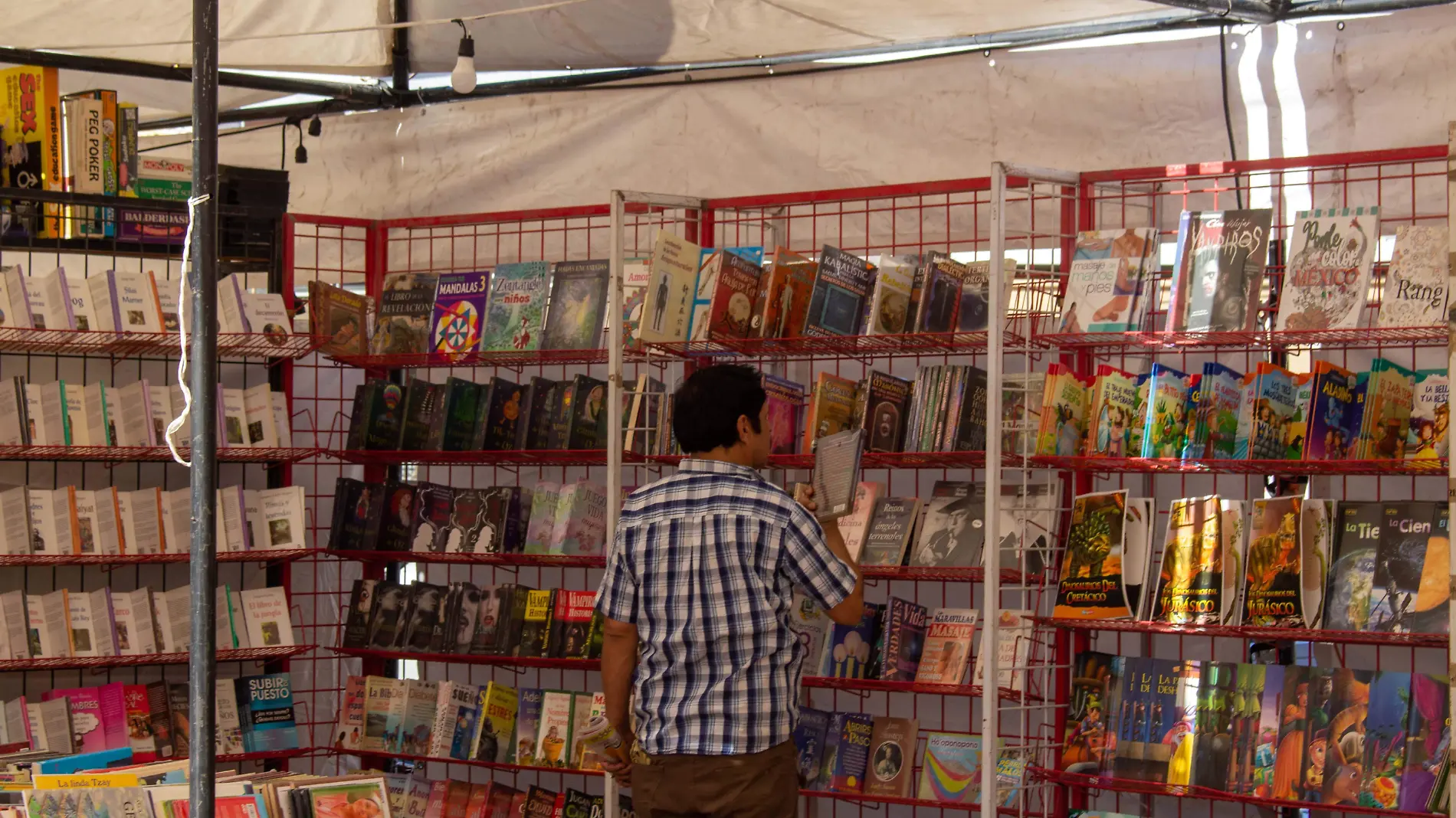 Tematica Feria del libro venta de libros lectura - Mike Acosta (31)